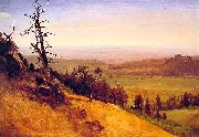 Albert Bierstadt Newbraska Wasatch Mountains oil painting